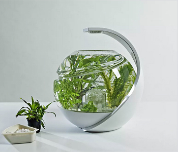 Avo – Self-Cleaning Fish Tank by Susan Shelley
