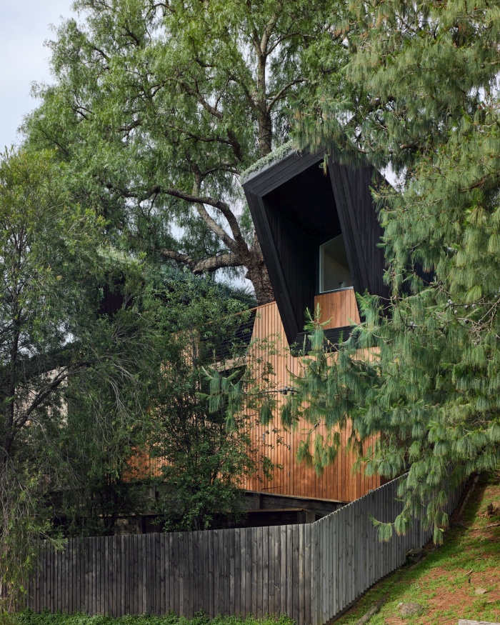 a small passive house built around a tree 017