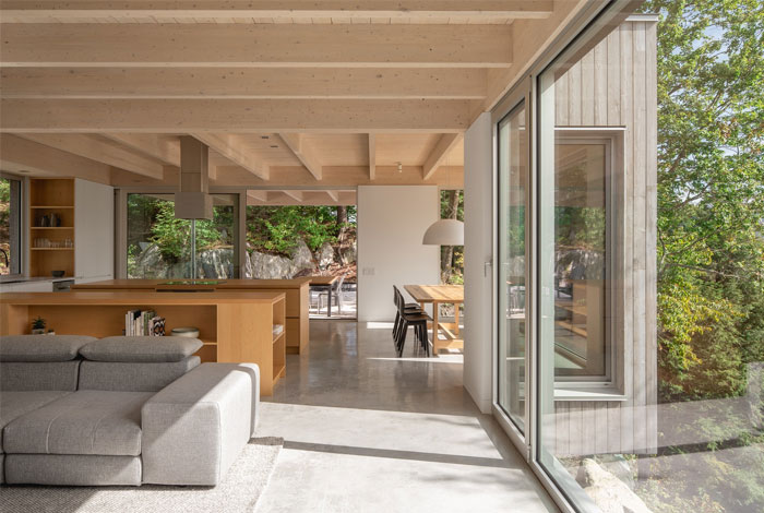 forest house natalie dionne architecture 5
