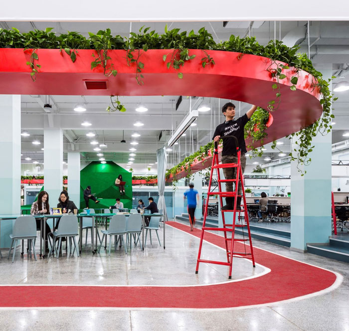 greenery office design leping social entrepreneur foundation 5