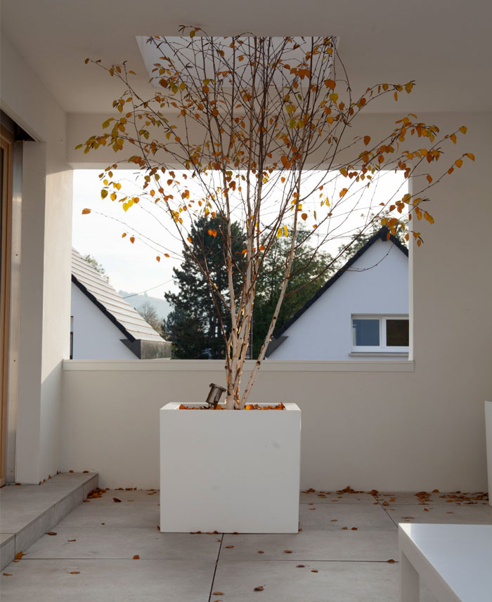 himalayan birch house 23