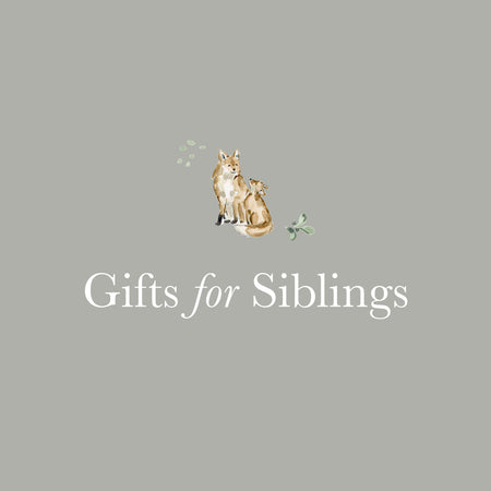Solly Baby's 2022 Gift Guide for Big Sibs