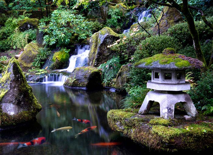 koi fish pond garden stone lantern