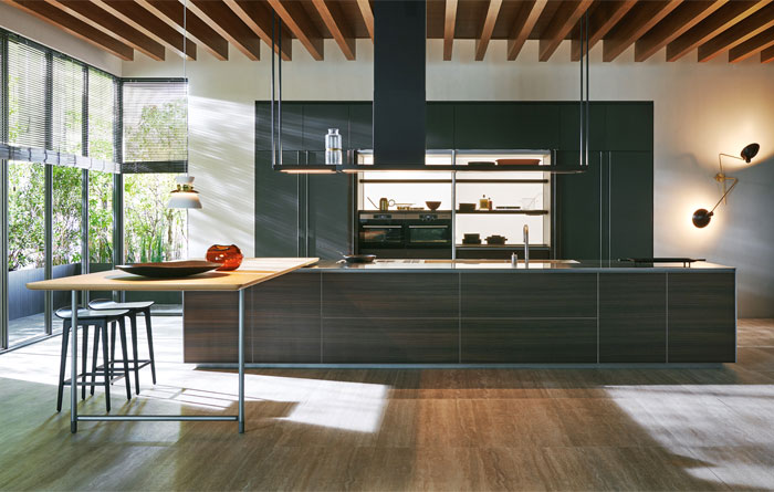 trendy dark colored kitchen 2