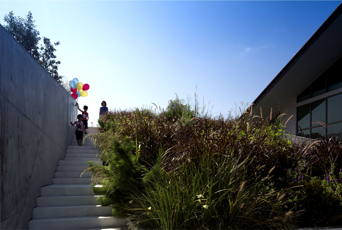 wild-landscape-terracing-rooftop